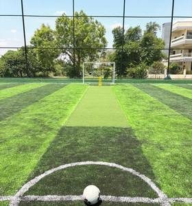 Turf Ground